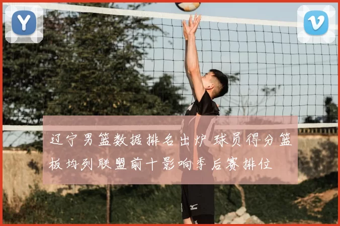 辽宁男篮数据排名出炉 球员得分篮板均列联盟前十影响季后赛排位