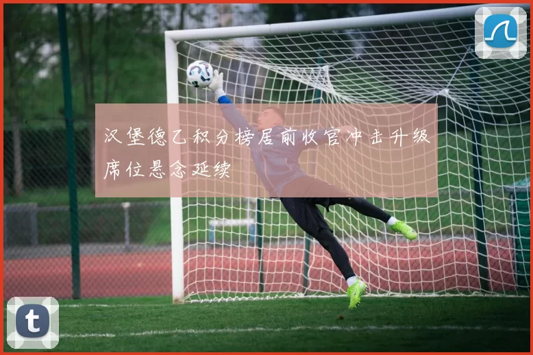 汉堡德乙积分榜居前收官冲击升级席位悬念延续