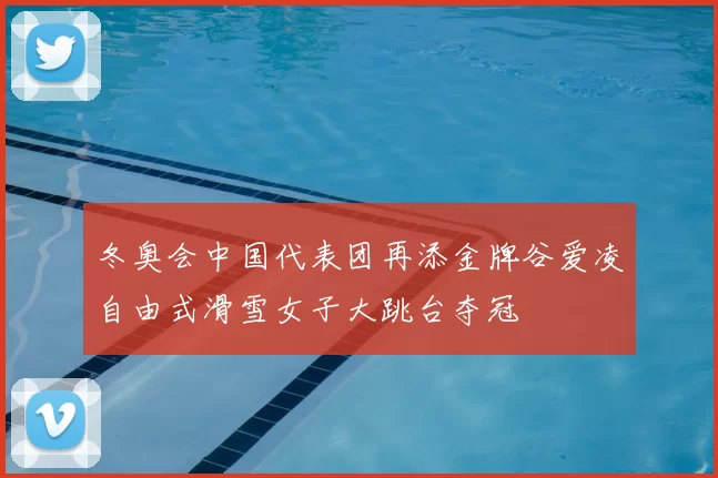 冬奥会中国代表团再添金牌谷爱凌自由式滑雪女子大跳台夺冠