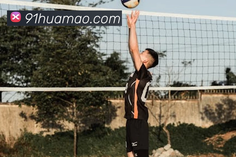 emc体育在线登录(中国)官方网站登录入口服务体系